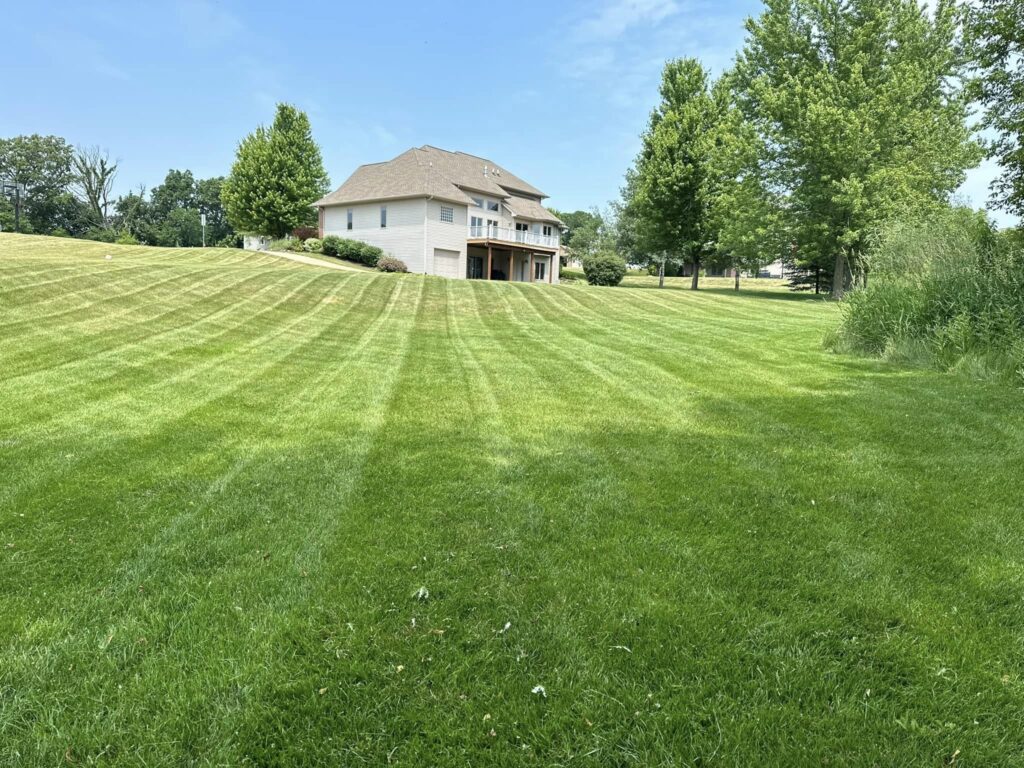 An image of a large lawn with freshly mowed grass.