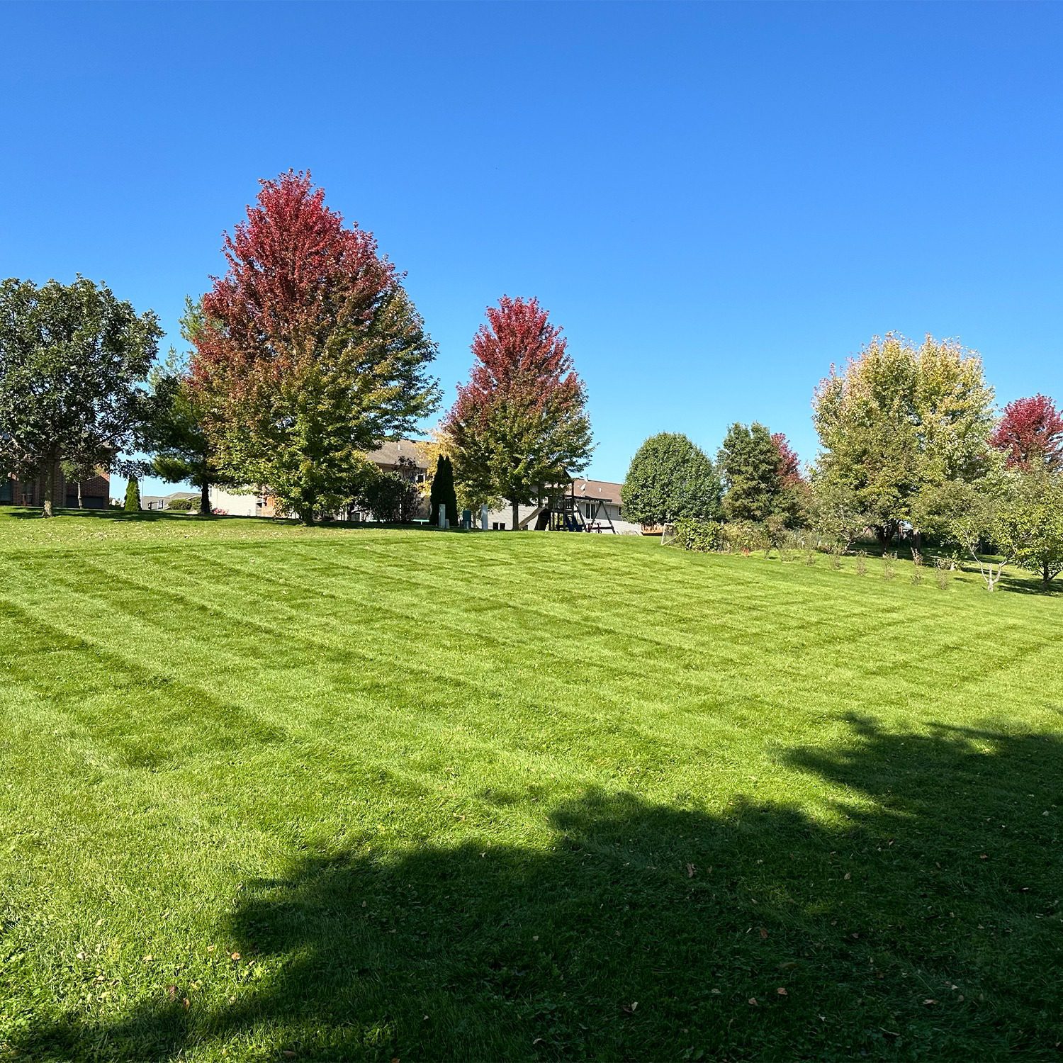 An image of a large lawn with freshly mowed grass.