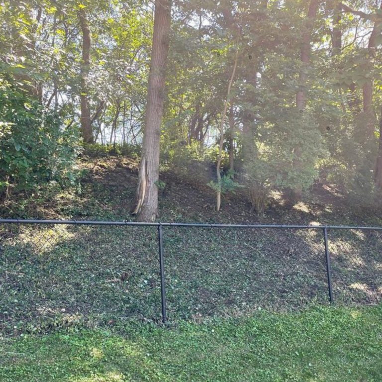 The after of a yard clearing project showing an uncovered fence and an orderly area surrounding the fence.