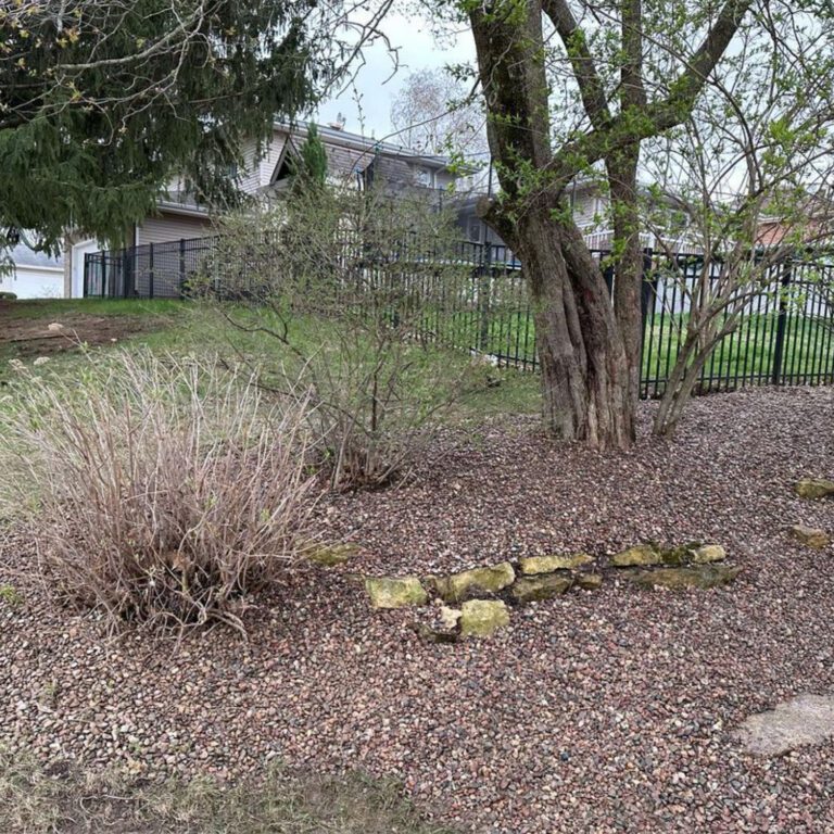 The after image of a yard clearing project showing the removal of leaves and yard debris, with the addition of landscaping rock in a now tidy environment.