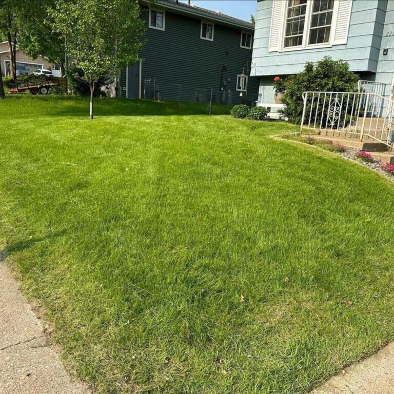 An after image of the lawn with freshly mowed grass.