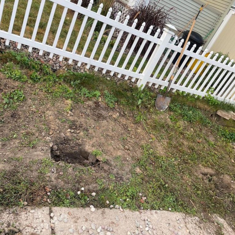 The before image of a landscaping project next to a driveway showing dirt and weeds.