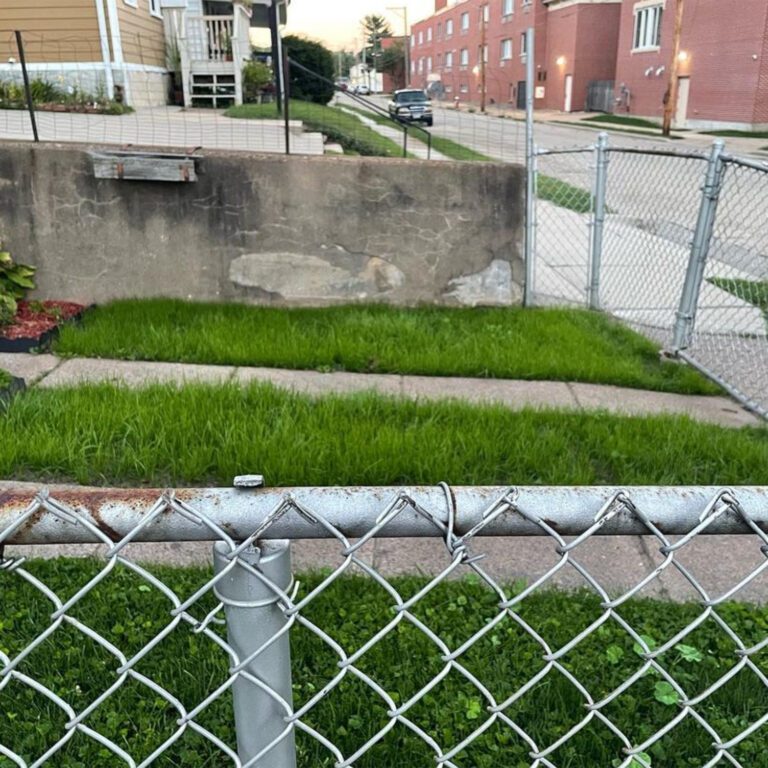 The after image of a lawn seeding project showing two healthy bright green strips of grass replacing the mulch in the before picture.