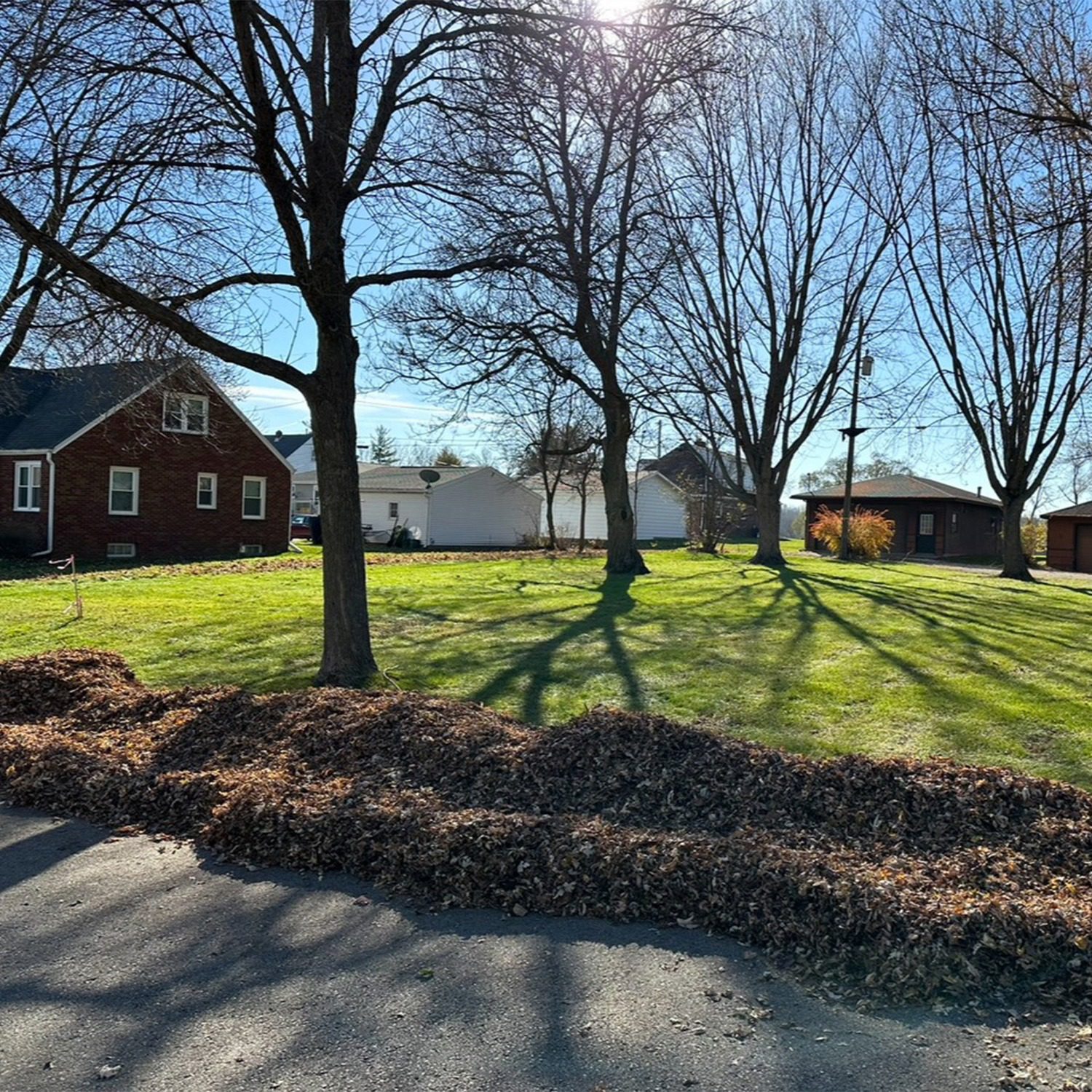 An image of leaf removal work done by Ryan's Outdoor Services. Large piles of leaves are visible placed in the street in front of a leafless green lawn.